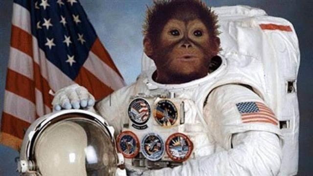 Apple and Miss Baker - 60 years to send two monkeys into space