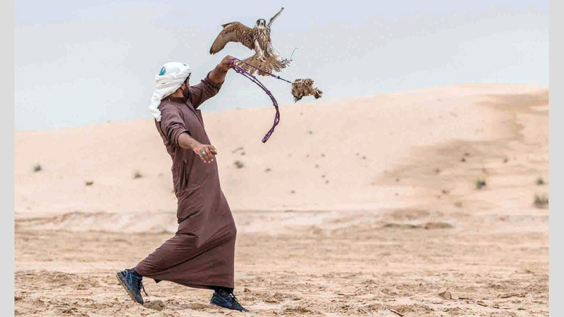 منافسة قوية بين الصقارين خلال أشواط البطولة. من المصدر