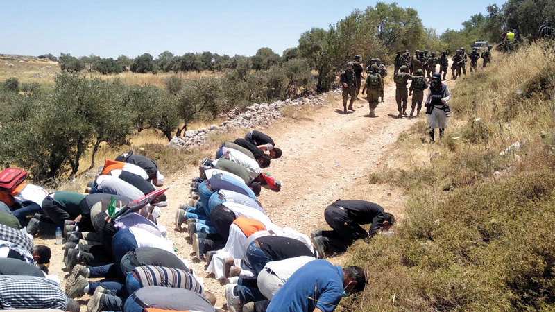 الفلسطينيون احتشدوا لحماية الأرض واسترجاعها.   الإمارات اليوم