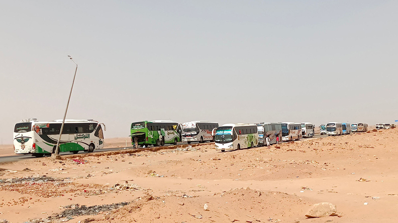 حافلات تنقل المغادرين من السودان في طريقها إلى مدينة أسوان المصرية. أ.ف.ب