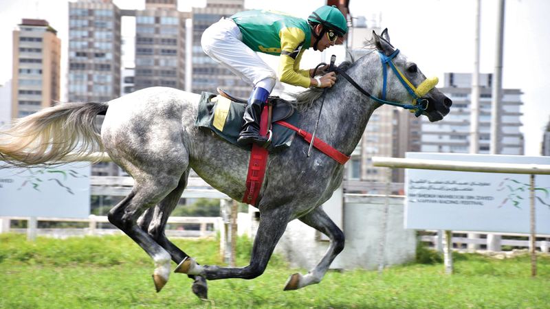 “Al Wathba Stallions Cup Kicks Off International Season for Arabian Horse Races in Brazil”