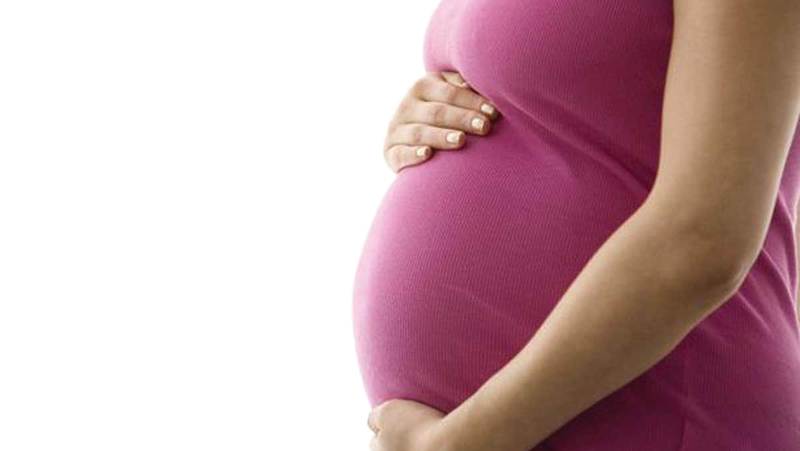 Impact of Maternal Nutritional Status on Offspring: New Research Findings