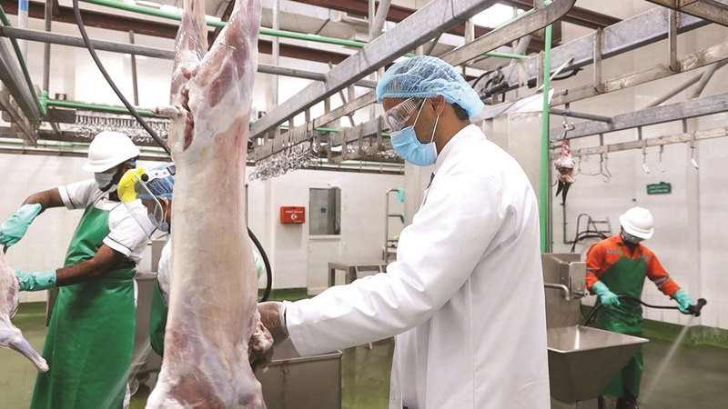 Abattoirs in Ajman, Masfout, and Manama receive over 1,800 sacrifices during Eid Al-Adha