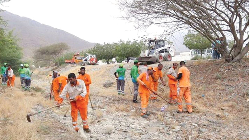 Beautification of Yarmouk District Valley in Khorfakkan City underway: Municipality’s Intensive Work