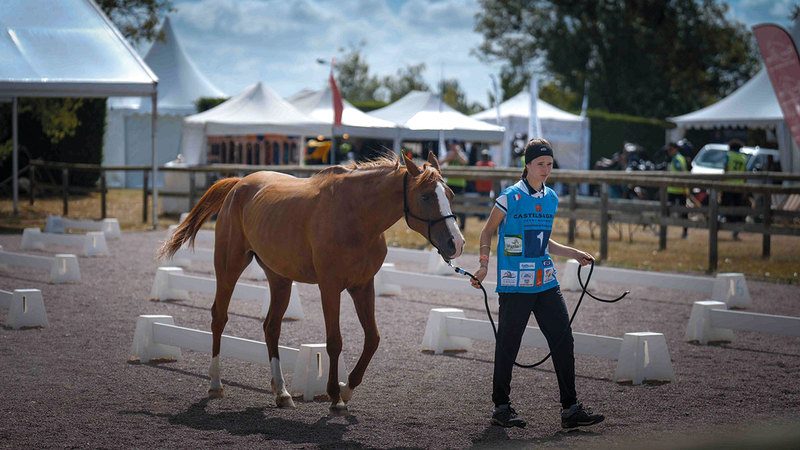 Emirates Knights Team Ready to Compete in World Endurance Championship for Youth and Junior 2023