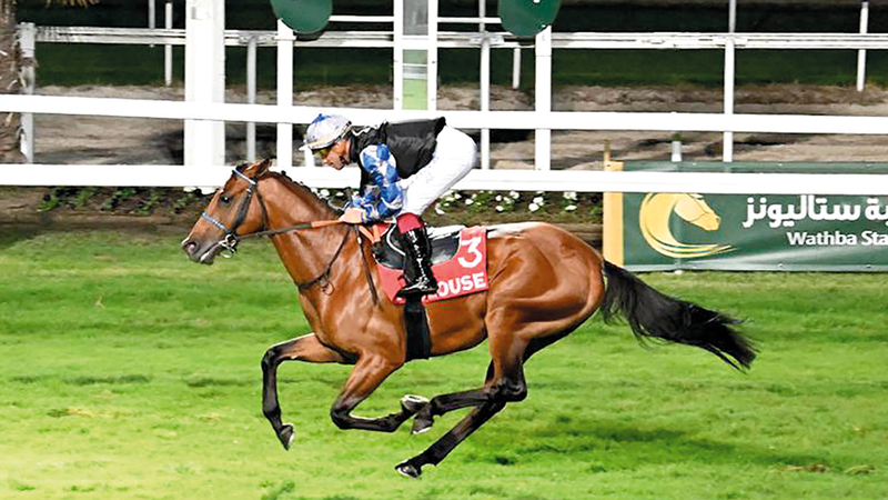 Mutabahi Athba Wins Al Wathba Stallions Cup at Racing Festival