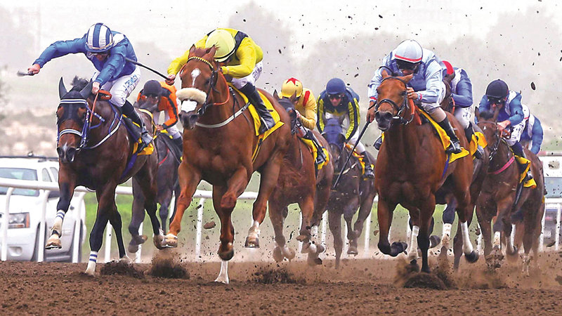 Jebel Ali Racecourse Launches New Season with Exciting Races and Financial Prizes