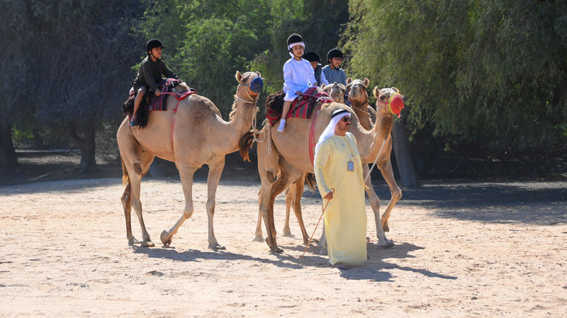 أنشطة الهجن والفروسية هدفت إلى تعليم الطلاب مهارات ركوب الخيل والإبل. من المصدر