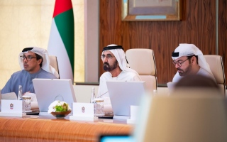 الإمارات تعتمد نظام "الإقامة الزرقاء" لمدة 10 سنوات