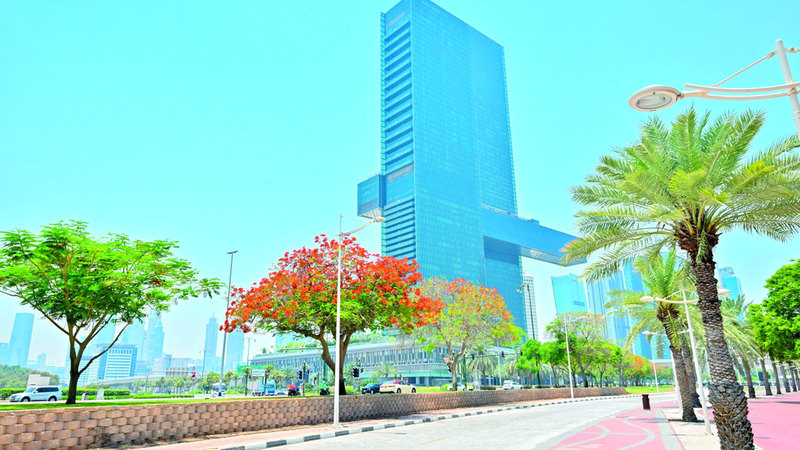 مع بداية أشهر الصيف من كل عام تتفتح أزهار هذه الشجرة لتضفي المزيد من الجمال على شوارع دبي.  تصوير: يوسف الهرمودي