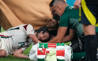الصورة: إصابة مروعة للاعب المجر في كأس أمم أوروبا (صور)