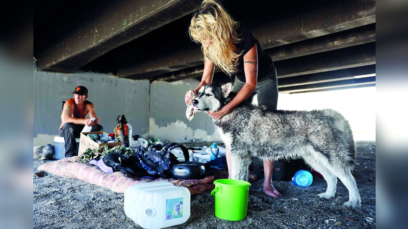 امرأة تحمي كلبها تحت جسر علوي أثناء محاولتها تجنب الحر. أ.ف.ب