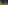 الصورة: الأهلي يقهر بيراميدز "رايح جاي".. ويغازل لقب الدوري (فيديو)