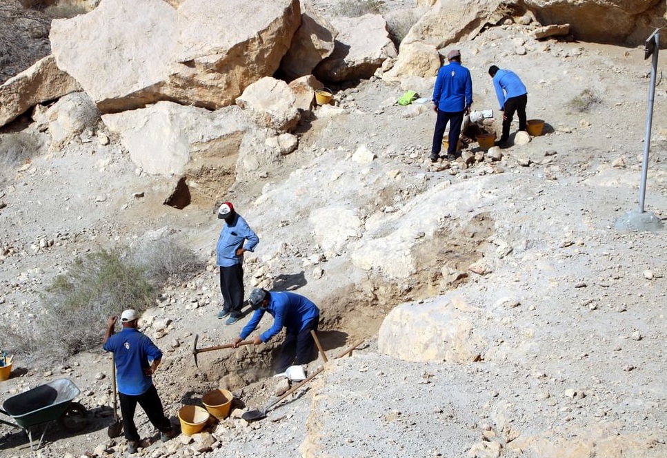 Archaeological discoveries full the image of the continuity of civilizations within the UAE