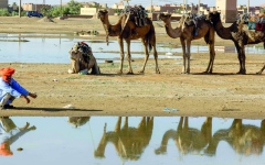 الصورة: صورة وتعليق.. لوحة في الصحراء