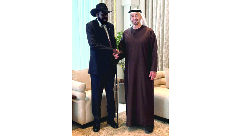 UAE and South Sudan Leaders Discuss Expanding Cooperation