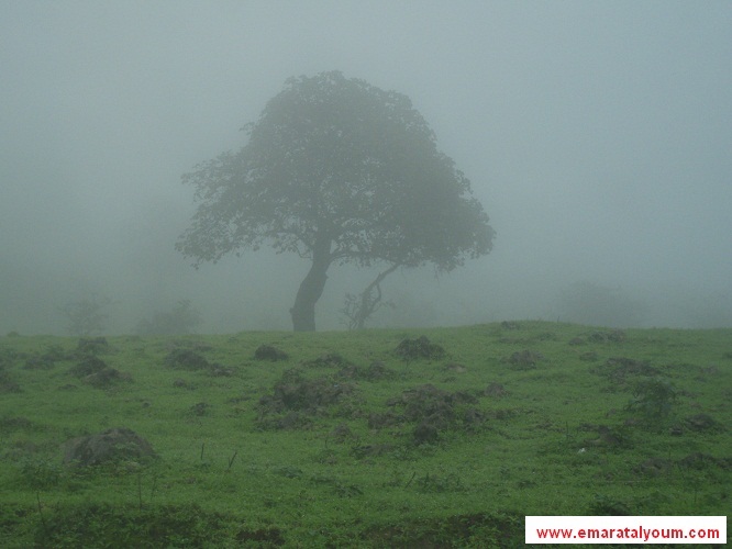 صلالة - عمان