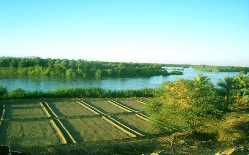 السودان---محمدعبدالرازق