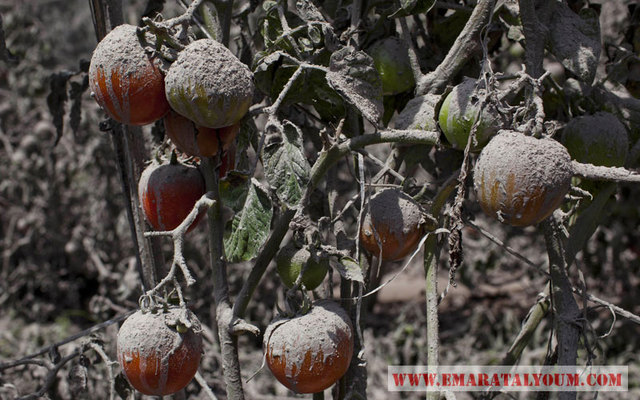 وقال عمال الاغاثة إن الكثير من اللاجئين يعيشون في ظروف سيئة في مبان حكومية ومراكز إيواء مؤقتة في منطقة كارو بإقليم ومطرة الشمالية. يذكر أن سبعة أشخاص على الاقل توفوا لاسباب مختلفة من بينها ارتفاع ضغط الدم، ومشكلات في التنفس طبقا لريسكا سيريجار، الذي يعمل ل