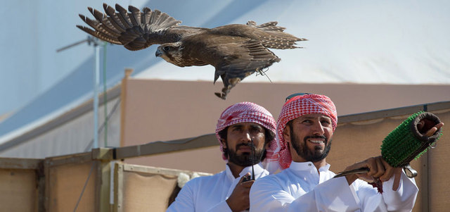 الصيد بالصقور يحتاج إلى مجهود كبير بالنسبة للصقار الساعي إلى تحقيق مراكز متقدمة. من المصدر