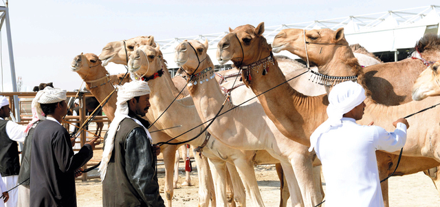 تهدف المسابقات إلى ربط الجيل الجديد من الأطفال بثقافة وتراث الإمارات. من المصدر